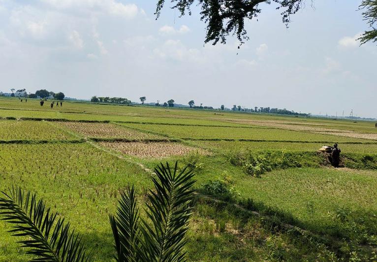 বেনাপোল সীমান্তে বিজিবির কঠোর অবস্থানে বিএসএফের পুশইন প্রচেষ্টা ব্যর্থ