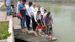 কাউখালীতে দেশীয় প্রজাতির মাছের পোনা অবমুক্ত