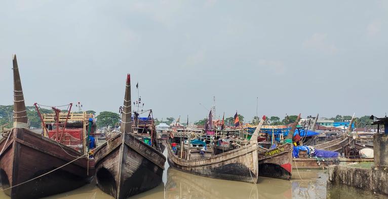 মহিপুর-আলীপুরে অবৈধ ট্রলিংয়ের বিস্তার, হুমকিতে সামুদ্রিক মৎস্যসম্পদ