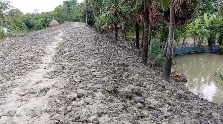 কলাপাড়ায় পাউবোর বেড়িবাঁধ পুনর্নির্মাণে অনিয়মের অভিযোগ