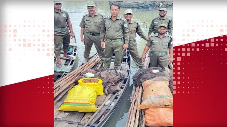 সুন্দরবনে বিষ দিয়ে মাছ শিকার করে শুঁটকি তৈরির সময় অবৈধ আস্তানা ধ্বংস, কীটনাশকসহ মালামাল জব্দ