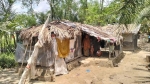 কলাপাড়ায় পলিথিনে মোড়ানো ঘরের হাবিব-হালিমার পাশে ‘পাশে দাঁড়াই’