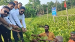 ভান্ডরিয়ায় কচুরিপানা অপসারণ শুরু, স্বস্তি ৪০ হাজার পরিবারে