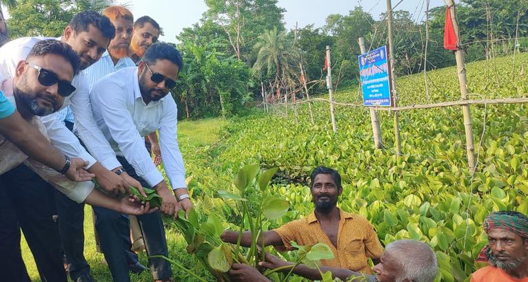 ভান্ডরিয়ায় কচুরিপানা অপসারণ শুরু, স্বস্তি ৪০ হাজার পরিবারে