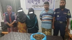 মহিপুরে দেড় কেজি গাঁজাসহ তিন মাদক কারবারি গ্রেপ্তার