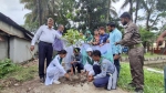 চরফ্যাশনে জাতীয় বৃক্ষরোপণ কর্মসূচির উদ্বোধন