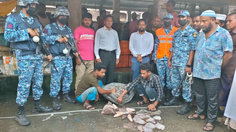 ভাণ্ডারিয়ায় নিষিদ্ধ শাপলাপাতা মাছ বিক্রি ও মাছে রং মেশানোর দায়ে ব্যবসায়ীকে জরিমানা