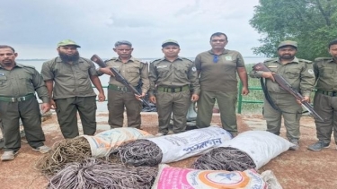 <small> বনবিভাগের অভিযান: </small>      বাগেরহাটে ৪ বস্তা হরিণ ধরার ফাঁদসহ সরঞ্জাম জব্দ, ট্রলার উদ্ধার