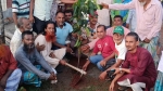 দুমকিতে শ্রমিক দলের বৃক্ষরোপণ কর্মসূচির উদ্বোধন