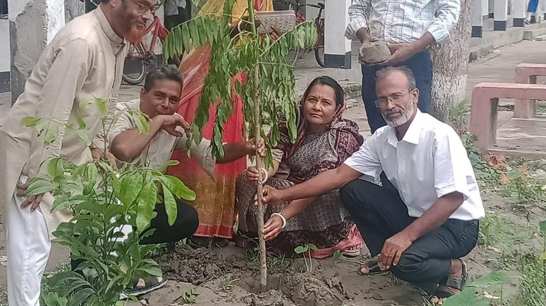মঠবাড়িয়া মিরুখালী স্কুল অ্যান্ড কলেজে বৃক্ষ রোপণ কর্মসূচি
