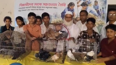 <small>বিকল্প আয়ের উদ্যোগ </small> কলাপাড়ায় শিক্ষার্থীদের মাঝে কবুতরের বাচ্চা, গাছের চারা ও শিক্ষা উপকরণ বিতরণ