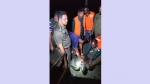 কয়রায় ৩০ কেজির সামুদ্রিক কচ্ছপ উদ্ধার, নদীতে অবমুক্ত