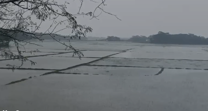 টানা বৃষ্টিতে উপকূলে জলাবদ্ধতা, কর্মহীন জেলে; নিখোঁজ ৮