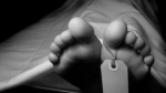 তালতলীতে গাছের নিচে চাপা পড়ে শ্রমিক নিহত