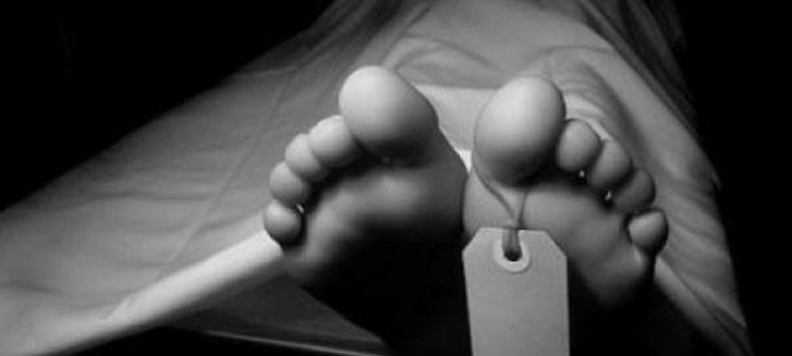 তালতলীতে গাছের নিচে চাপা পড়ে শ্রমিক নিহত