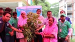 কলাপাড়ায় বৃক্ষ রোপণ কর্মশালায় ২৬০ জনকে গাছের চারা বিতরণ