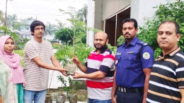 বরগুনায় দুই উন্নয়ন সংস্থার উদ্যোগে কৃষ্ণচূড়া গাছের চারা বিতরণ