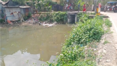 <small>কৃষি ব্যবস্থায় ভয়াবহ সংকট </small> কলাপাড়ায় শতাধিক খালের পানিপ্রবাহ ব্যাহত, বাড়ছে জলাবদ্ধতা ও কৃষি সংকট