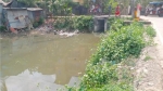 <small>কৃষি ব্যবস্থায় ভয়াবহ সংকট </small> কলাপাড়ায় শতাধিক খালের পানিপ্রবাহ ব্যাহত, বাড়ছে জলাবদ্ধতা ও কৃষি সংকট
