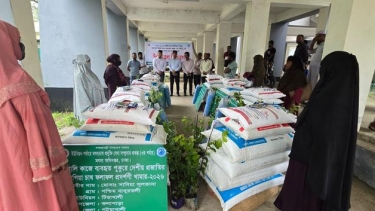 কলাপাড়ায় ১২ নারী পেলেন গৃহস্থালি পুকুরে মৎস্য চাষের উপকরণ