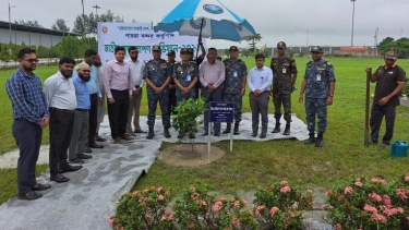 পায়রা সমুদ্রবন্দরে ৩০ হাজার বৃক্ষরোপণ কর্মসূচির উদ্বোধন