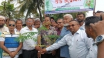 কলাপাড়ায় স্বনির্ভর খালের দুই পাড়ে ১,৬০০ গাছ রোপণ কর্মসূচির উদ্বোধন