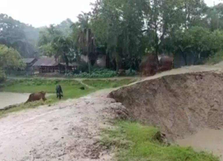 কলাপাড়ায় আন্ধারমানিক নদীর বেড়িবাঁধসহ স্লুইস ধস, পানিবন্দি সাত গ্রামের মানুষ