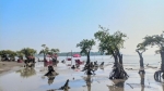 রূপসী কুয়াকাটা: যেখানে সাগর প্রতিদিন নতুন গল্প শোনায়
