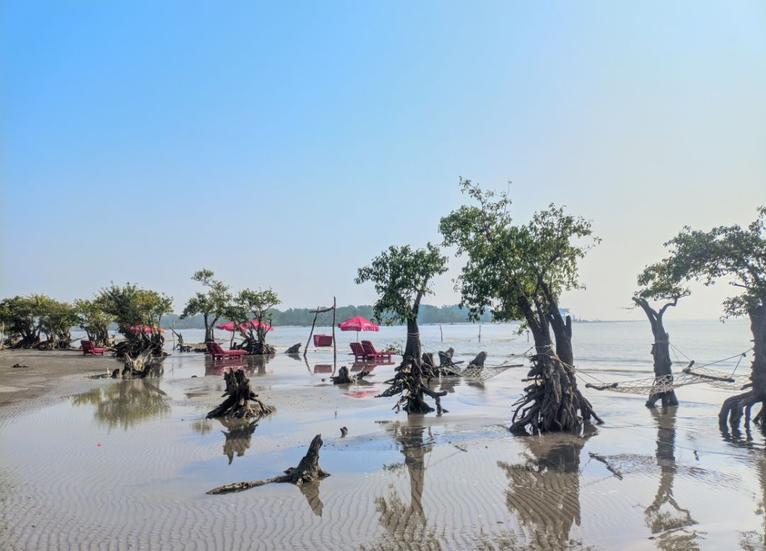 রূপসী কুয়াকাটা: যেখানে সাগর প্রতিদিন নতুন গল্প শোনায়