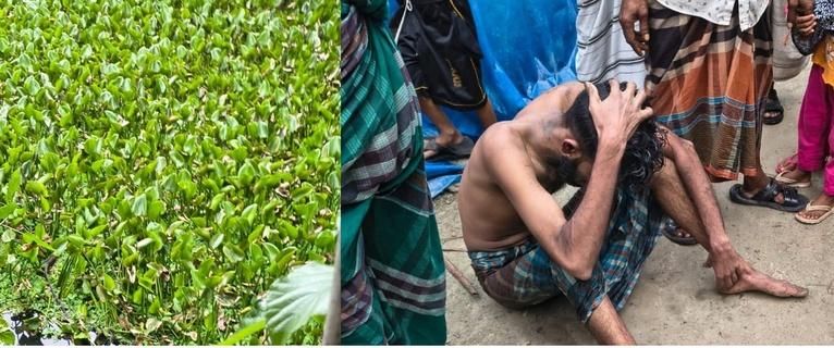 চুরির সময় ধাওয়া খেয়ে খালে ঝাঁপ, কচুরিপানার নিচে সাড়ে তিন ঘণ্টা লুকিয়েও রক্ষা হয়নি