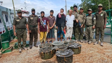 সুন্দরবনে নিষিদ্ধ সময়ে কাঁকড়া আহরণ, হরিণের ফাঁদসহ আটক ৪