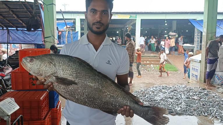 বঙ্গোপসাগরে ধরা পড়ল ৮ কেজির কালো পোয়া, বিক্রি ৫০ হাজার টাকায়