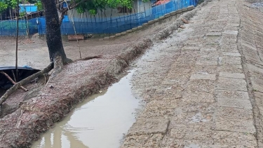 সংস্কারের অভাবে কয়রার পাউবোর বেড়িবাঁধে বাড়ছে দুর্ঘটনা, এক যুগেও পড়েনি এক চাপ মাটি