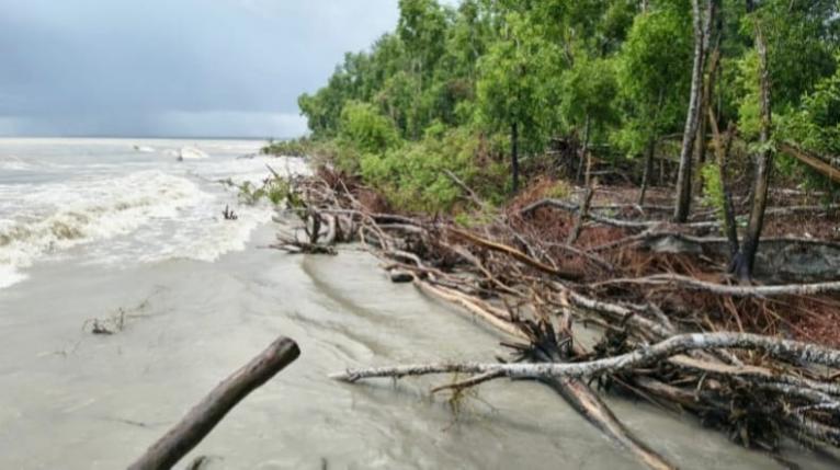 ভাঙনে সৌন্দর্য হারাচ্ছে তালতলীর শুভ সন্ধ্যা সৈকত
