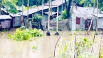 টানা বৃষ্টিতে কলাপাড়ায় জলাবদ্ধতা, ক্ষতির মুখে হাজারো পরিবার ও সবজিচাষী