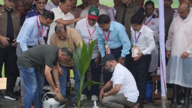 আগামী পাঁচ বছরে দেশে ২৫ কোটি গাছ লাগানো হবে: প্রধানমন্ত্রী