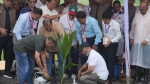 আগামী পাঁচ বছরে দেশে ২৫ কোটি গাছ লাগানো হবে: প্রধানমন্ত্রী