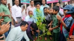 নলছিটিতে বৃক্ষরোপণ কর্মসূচির উদ্বোধন