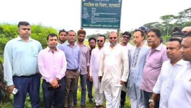 গাছ লাগানোর পাশাপাশি রক্ষণাবেক্ষণেও গুরুত্ব দিতে হবে: পরিবেশ প্রতিমন্ত্রী