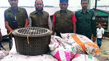 সুন্দরবনে কোবাদক স্টেশনের অভিযানে ১৭০ কেজি কাঁকড়াসহ ৪ নৌকা জব্দ
