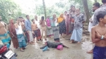 চরফ্যাশনে বিধবাকে পিটিয়ে হাত-বুকের হাড় ভাঙার অভিযোগ আ.লীগ নেতার বিরুদ্ধে