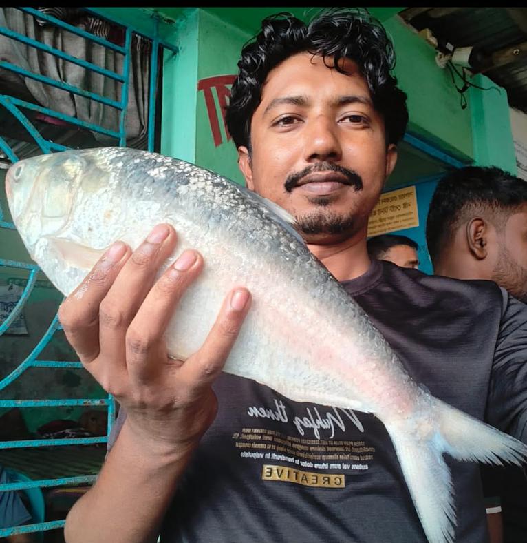 কুয়াকাটায় ২ কেজি ১০০ গ্রামের ইলিশ বিক্রি হলো ৬ হাজার ৮২৫ টাকায়