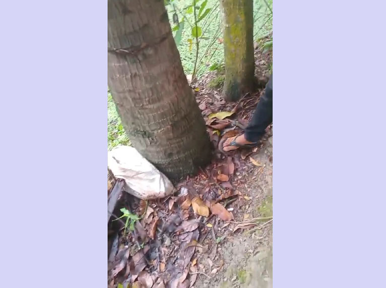 ব্যাগের ভেতর নবজাতক, কান্নার শব্দে উদ্ধার