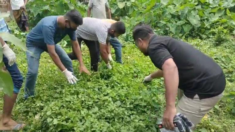 মনপুরায় উপজেলা স্বাস্থ্য কমপ্লেক্সে যুবদলের পরিচ্ছন্নতা অভিযান