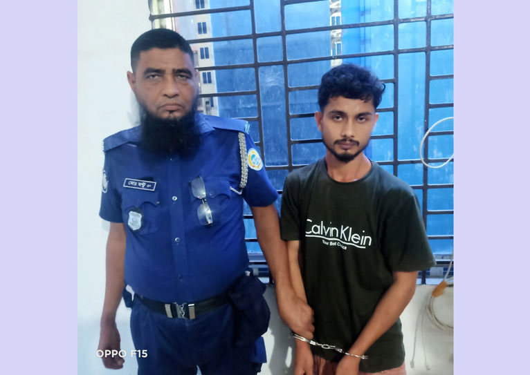 নেছারাবাদে প্রবাসীর বাড়িতে ঢুকে হামলার অভিযোগ, ছাত্রলীগ নেতা আটক; আহত ৩