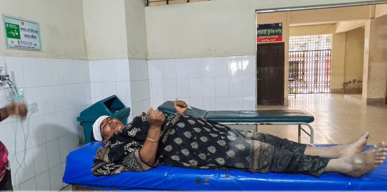 আমতলীতে বাদীর বিরুদ্ধে সাক্ষী দেয়ায় নারীকে চাপাতি দিয়ে কুপিয়ে জখম