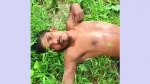 বরগুনায় ডাব চুরি করতে গিয়ে ভিমরুলের কামড়ে গাছ থেকে পড়ে যুবক আহত