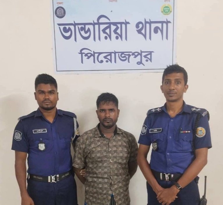 ভান্ডারিয়ায় চোরাই ৪ মহিষ উদ্ধার, আন্তঃজেলা ডাকাত দলের সদস্য আটক
