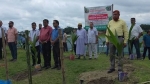 পটুয়াখালীতে চেম্বারের উদ্যোগে নারিকেল বাগান প্রকল্পের উদ্বোধন