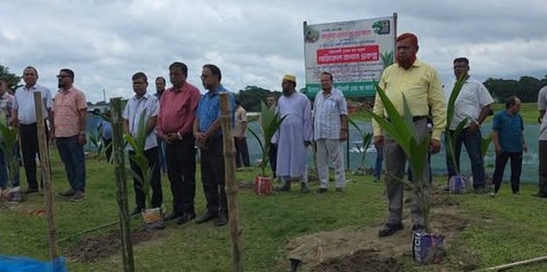 পটুয়াখালীতে চেম্বারের উদ্যোগে নারিকেল বাগান প্রকল্পের উদ্বোধন